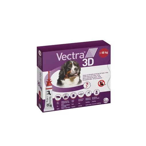 bolhairtó: Vectra
