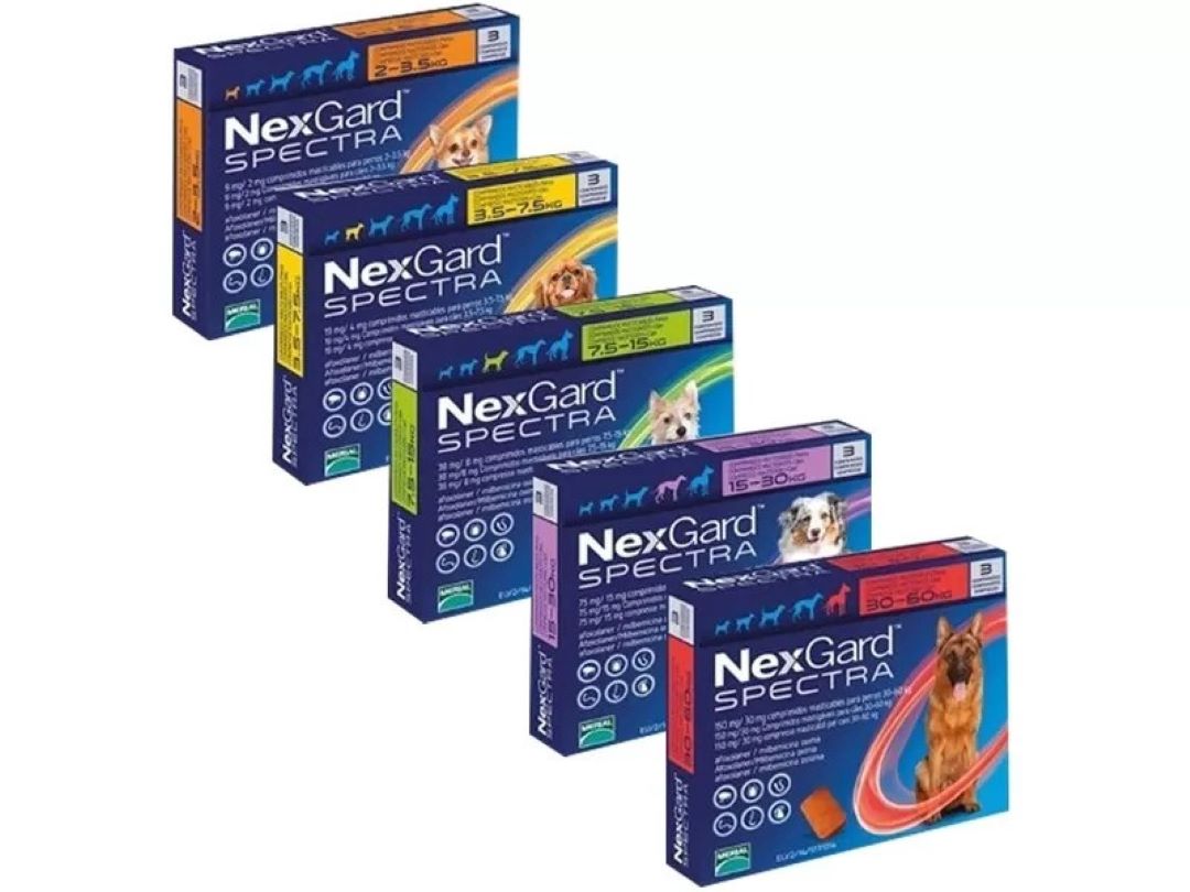Nexgard spectra kutyáknak